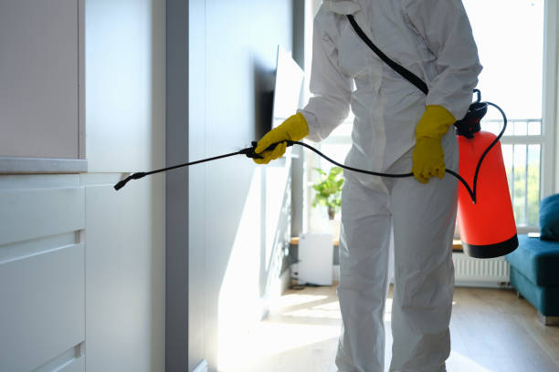 Mold Remediation for Rental Properties in El Paso, TX